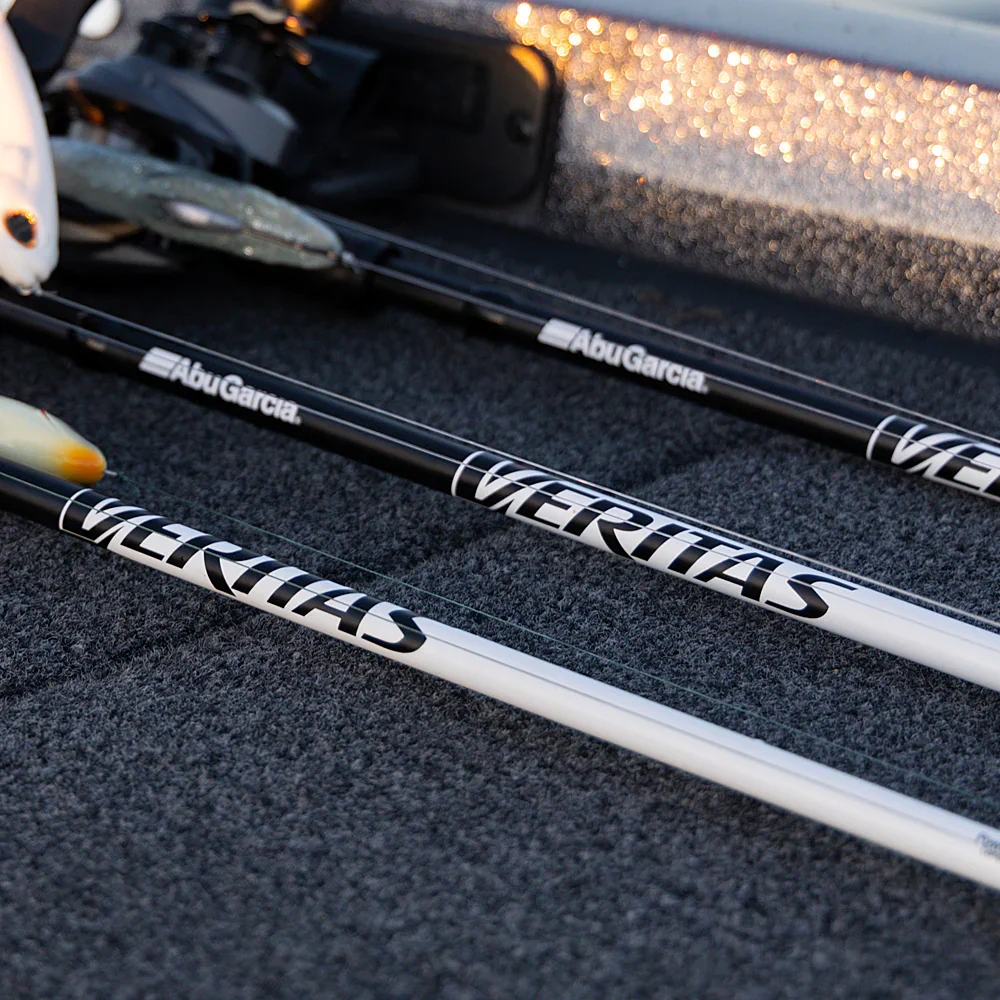 Spinning Rods